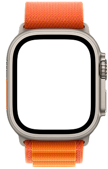 Apple Watch frame